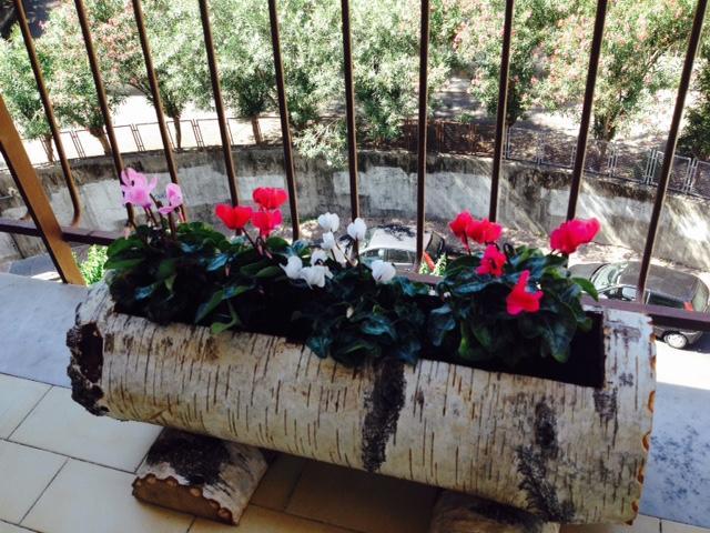 Chiavi Antiche B&B Salerno Rom bilde